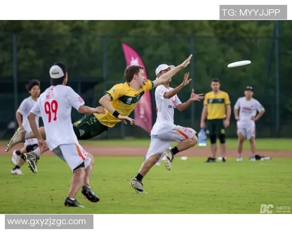 广州飞盘队比赛经验分析与表现评估的全面研究与探讨 广州飞盘队比赛经验分析与表现评估的全面研究与探讨