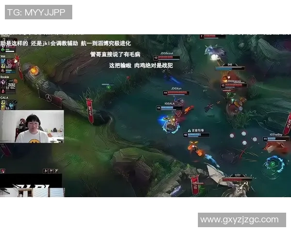 赛后复盘分析：JDG与IG在战术灵活性上的较量与启示