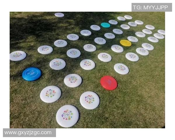 飞盘实力榜单揭晓杭州飞盘队荣获第三名展现强劲实力