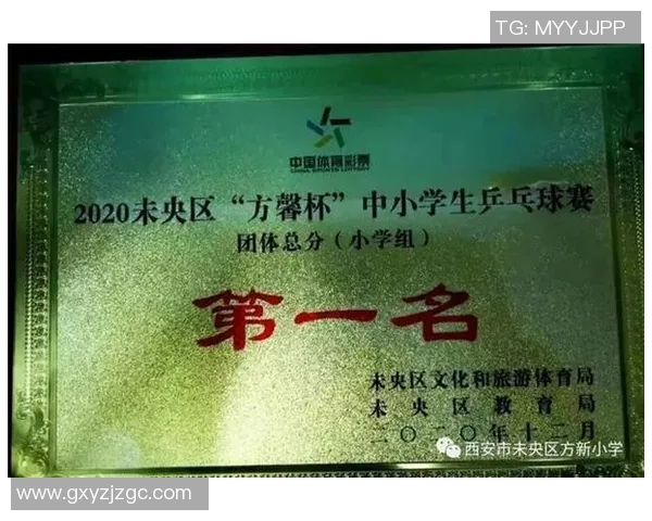 西安乒乓球队实力分析与表现评估的全面数据研究