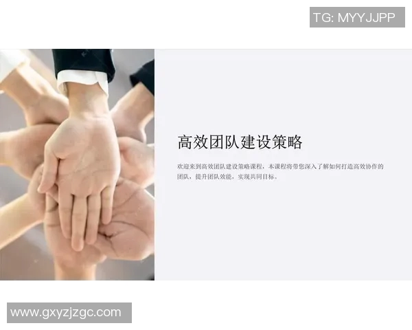 探索CSGO战术中的LNG节奏体系与团队配合策略分析 探索CSGO战术中的LNG节奏体系与团队配合策略分析